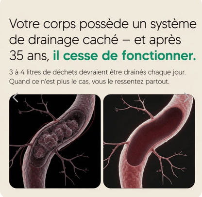 Gélules de Drainage Lymphatique · Transformation totale en 60 jours