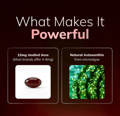 Astaxanthine 12 mg – Gélules molles